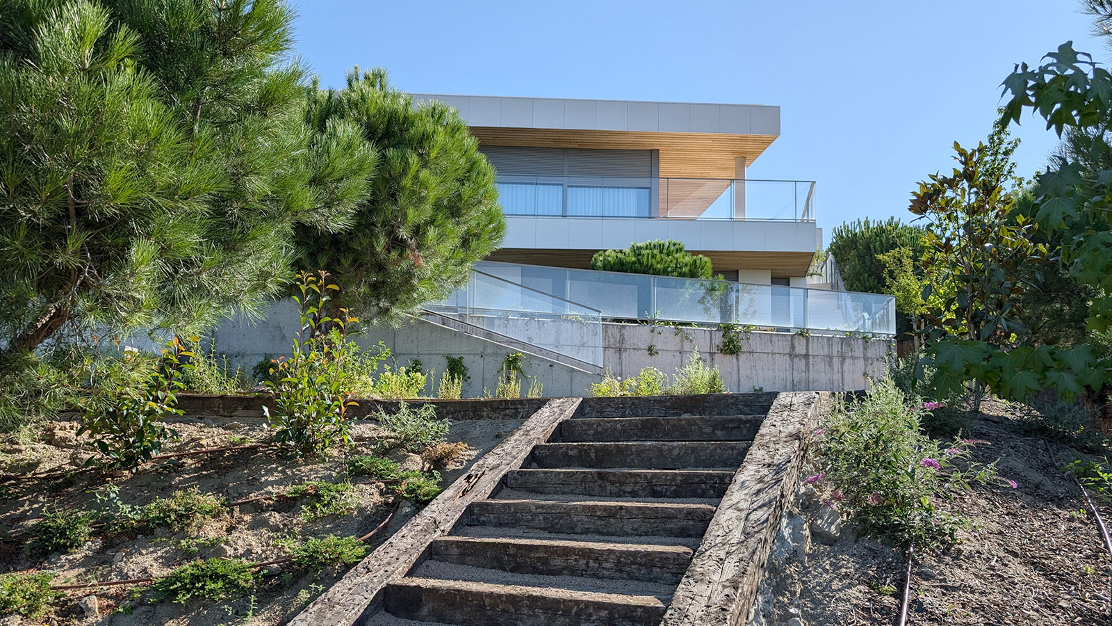 CARRUSEL_04__TORRELODONESI