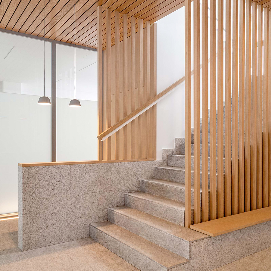 CARRUSEL_MÓVIL_06__PORTALGAZTAMBIDE